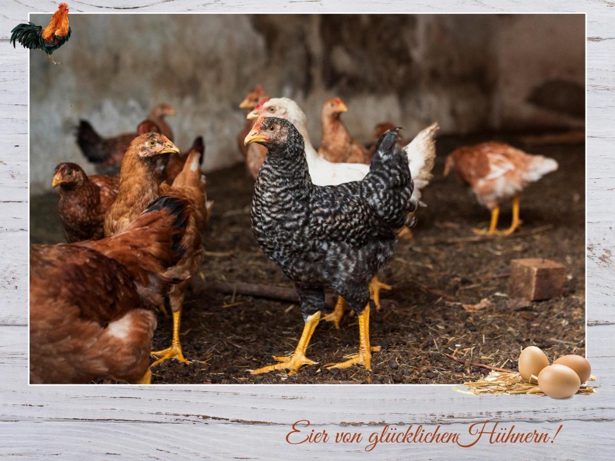Fewo-Egger-Thalmann เวอร์เกน ภายนอก รูปภาพ